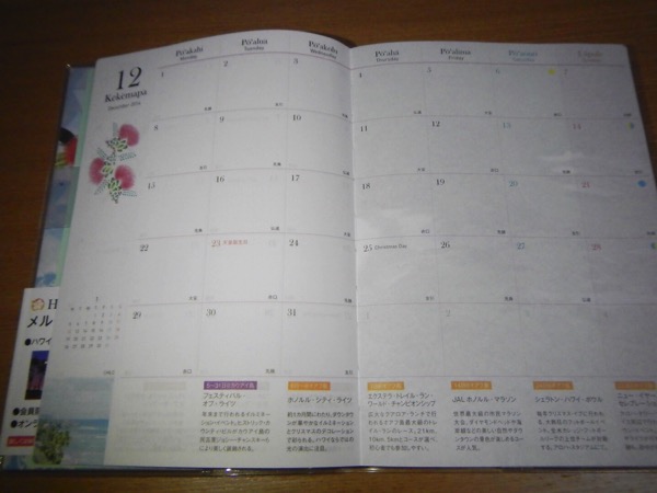 IMG_0112.jpg IMG 0112